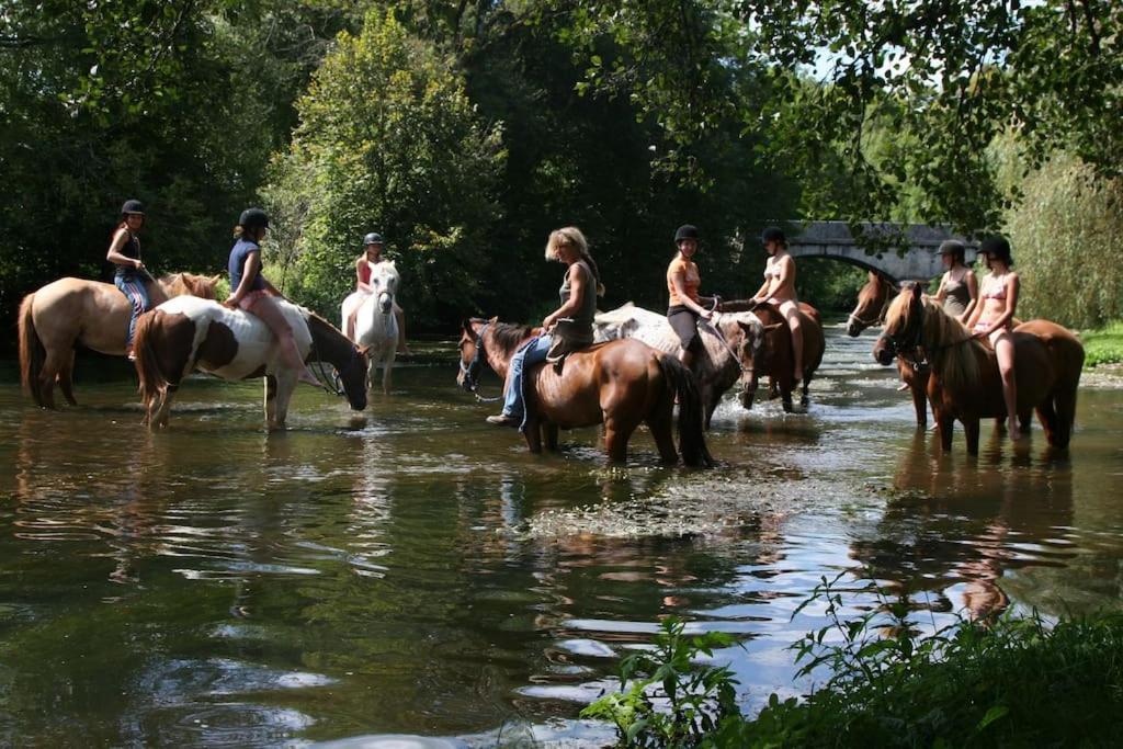 Serenite A La Ferme Equestre Lempzours Exterior photo